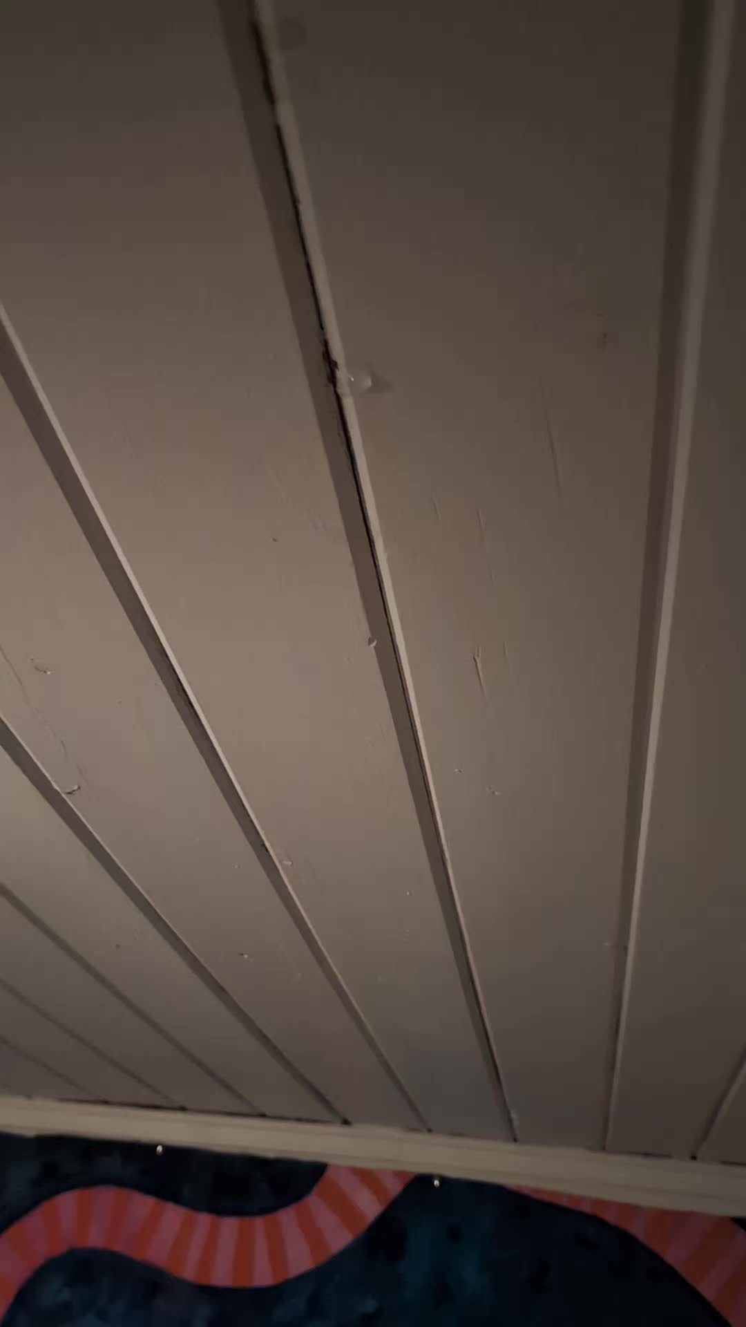 @Jenovalife1