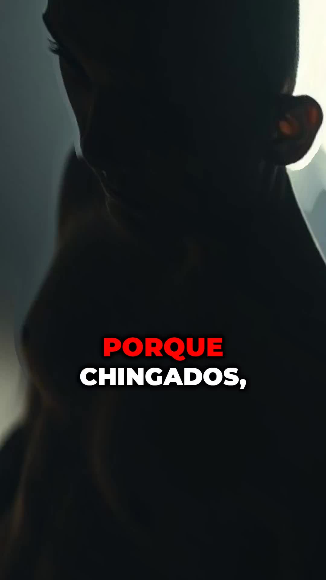 @mundo.desmadre