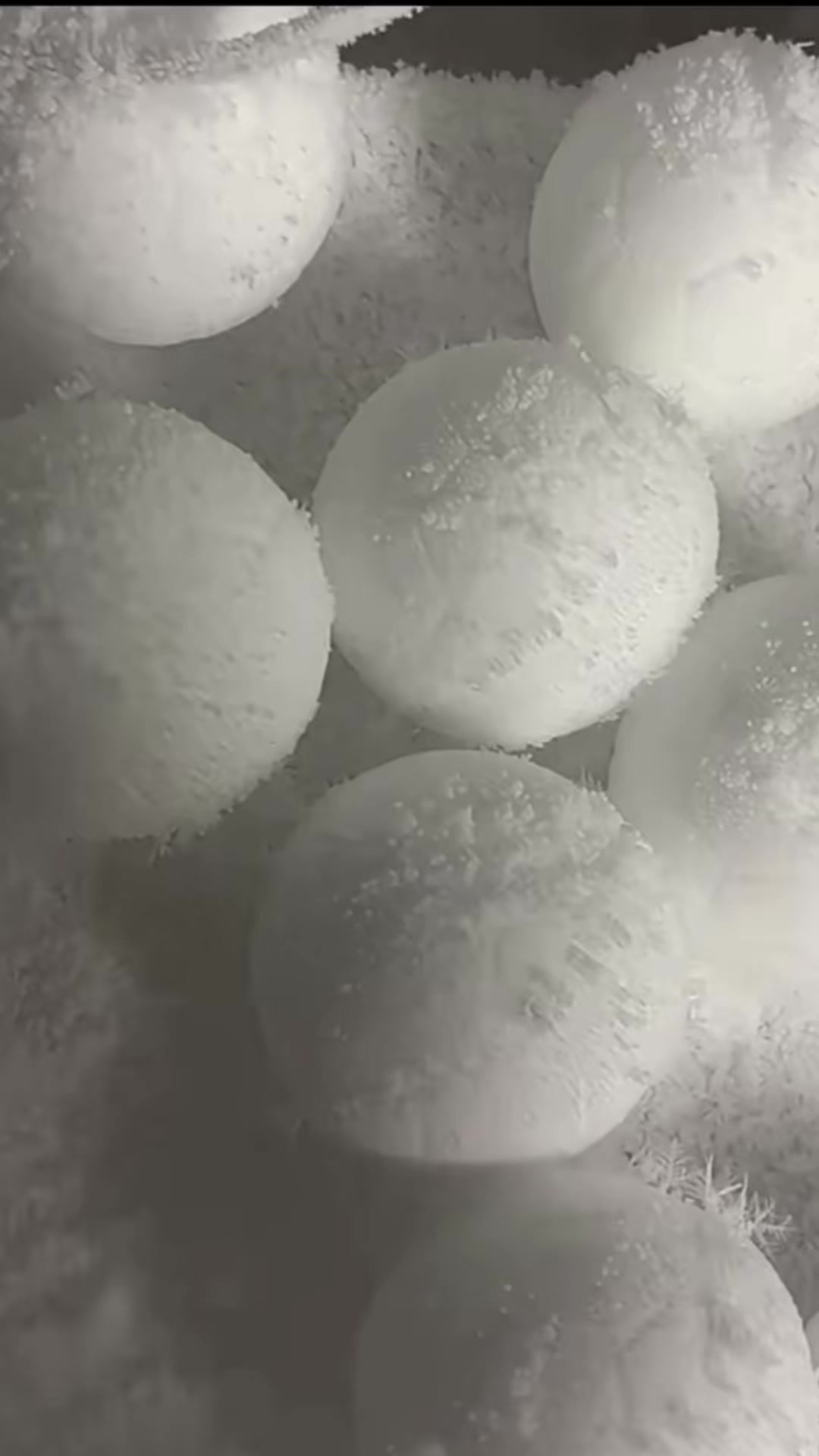 @ICEE🩷