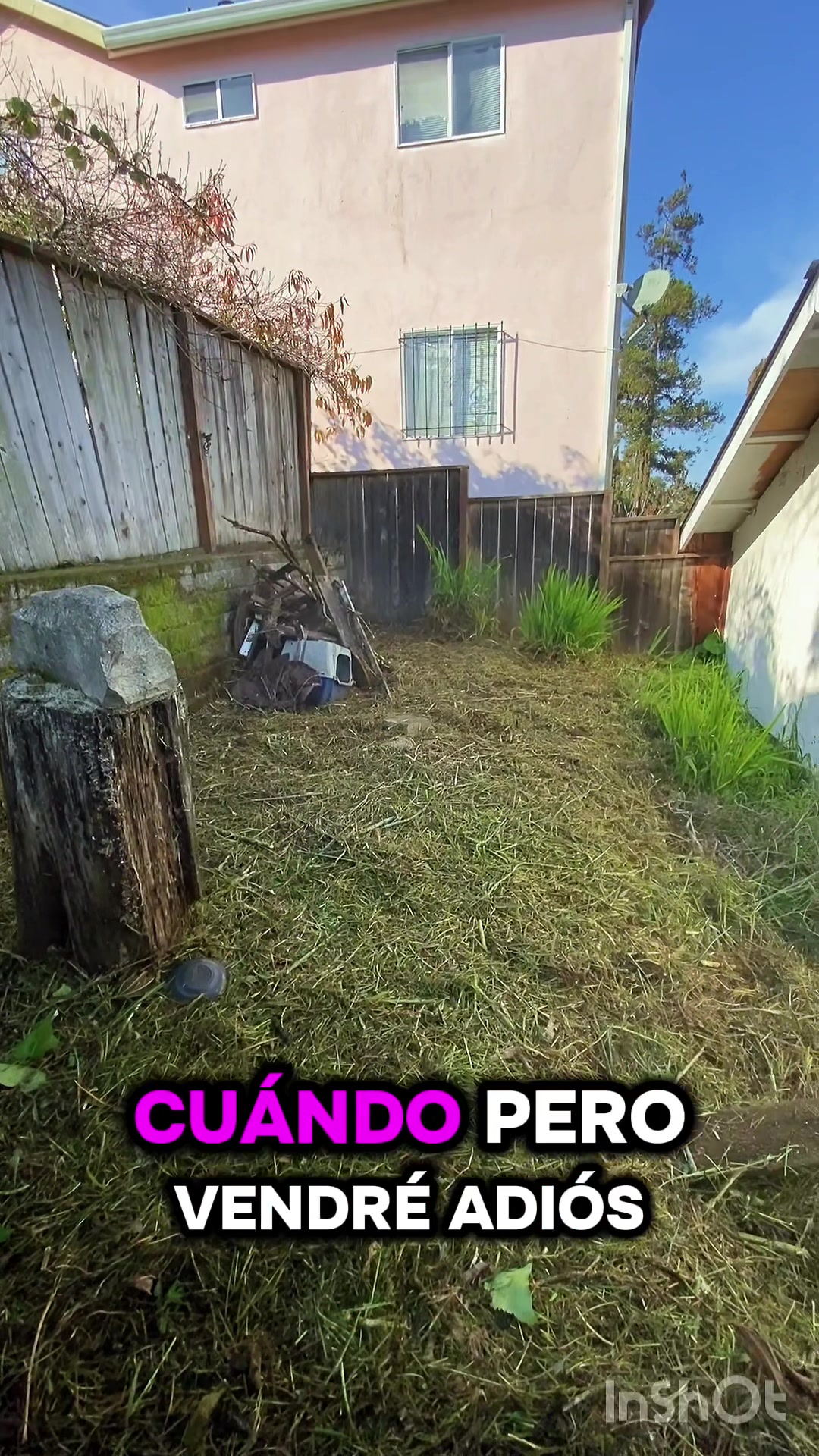 @El Dan