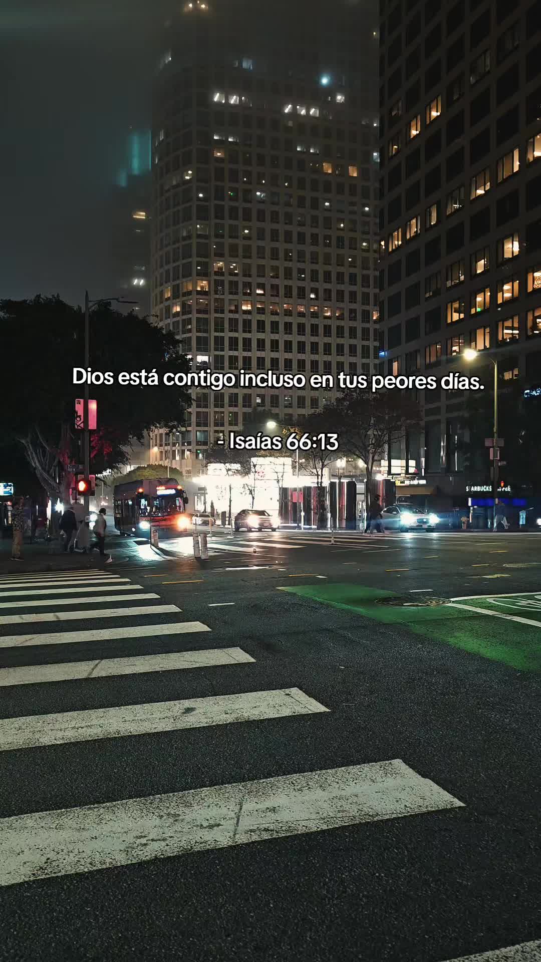 @BilsonGonzalez🔥