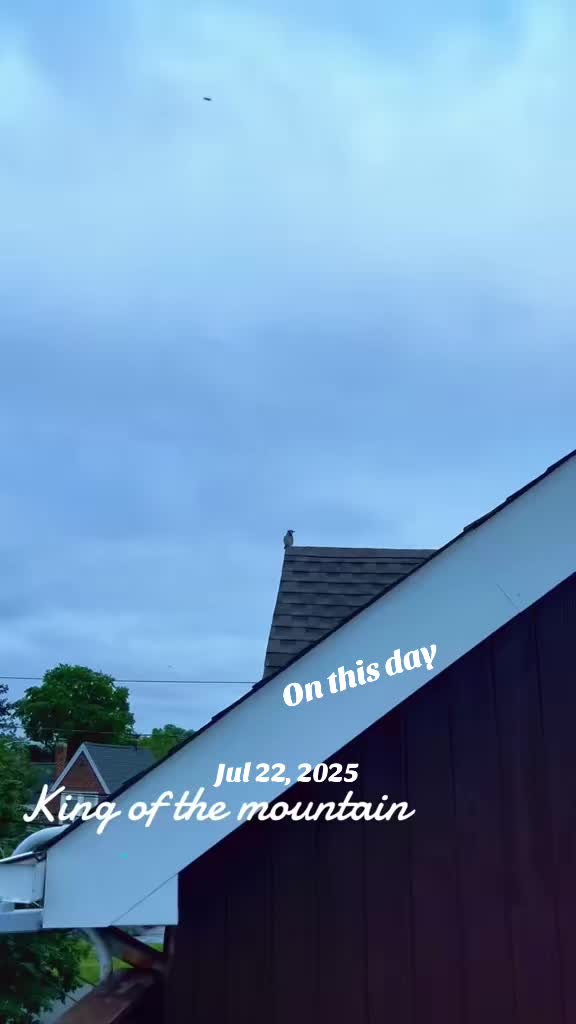 @Spleesha
