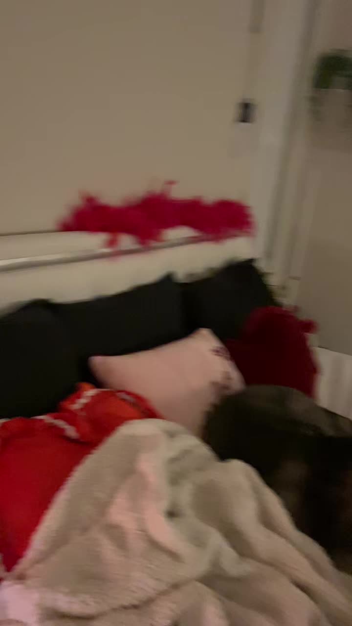 @MORGPIE