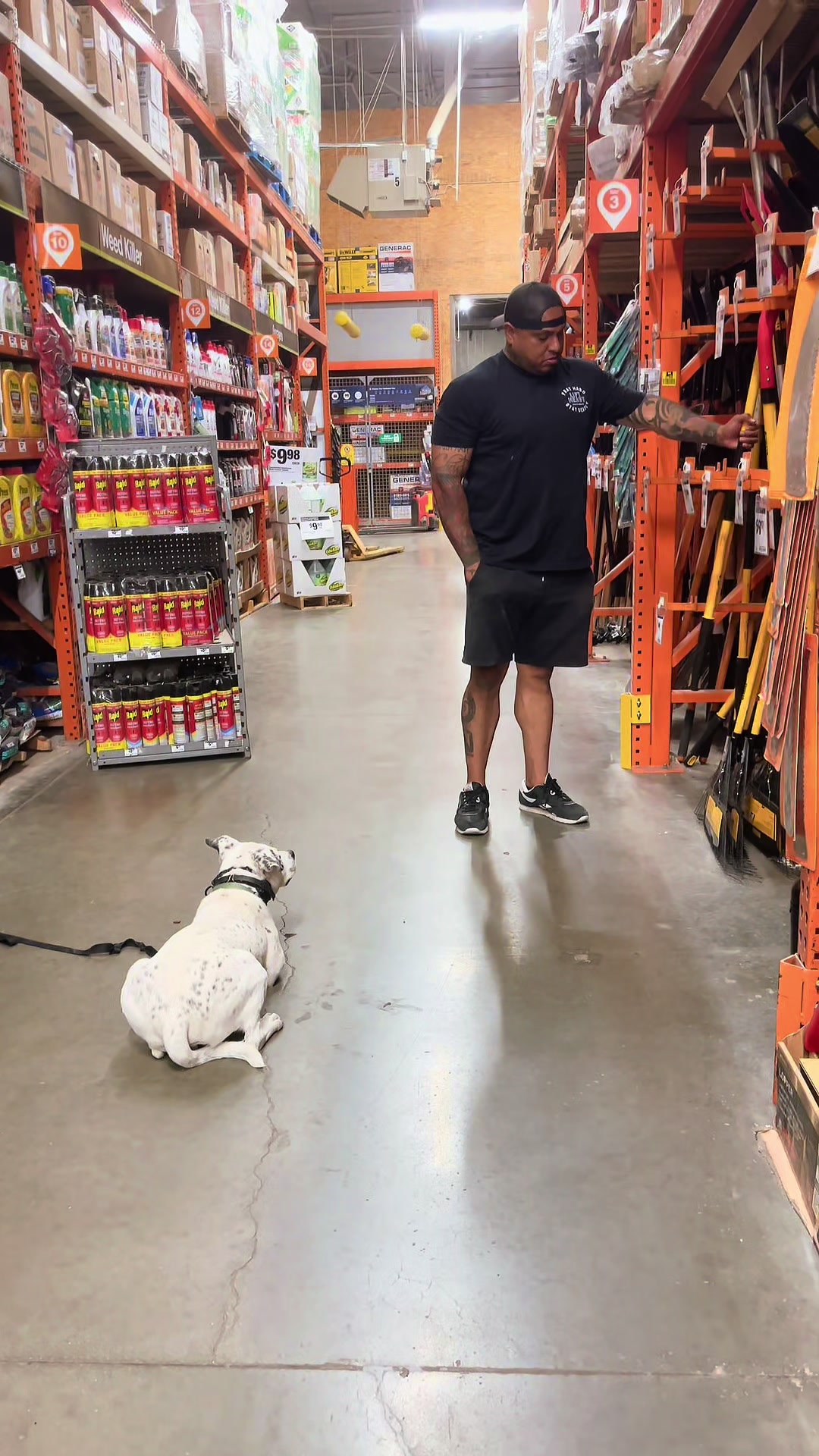 @Tactical K9s Dog Training