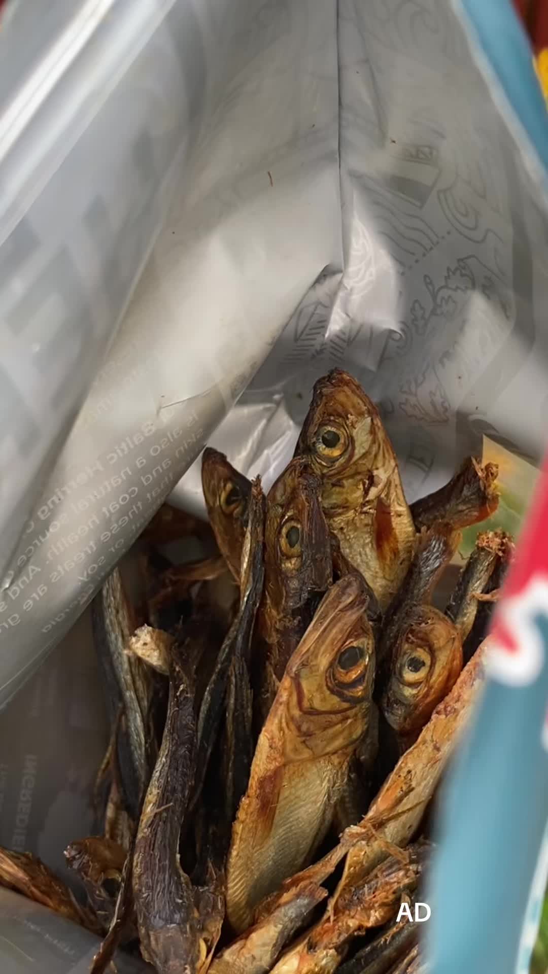 @CryptidClips