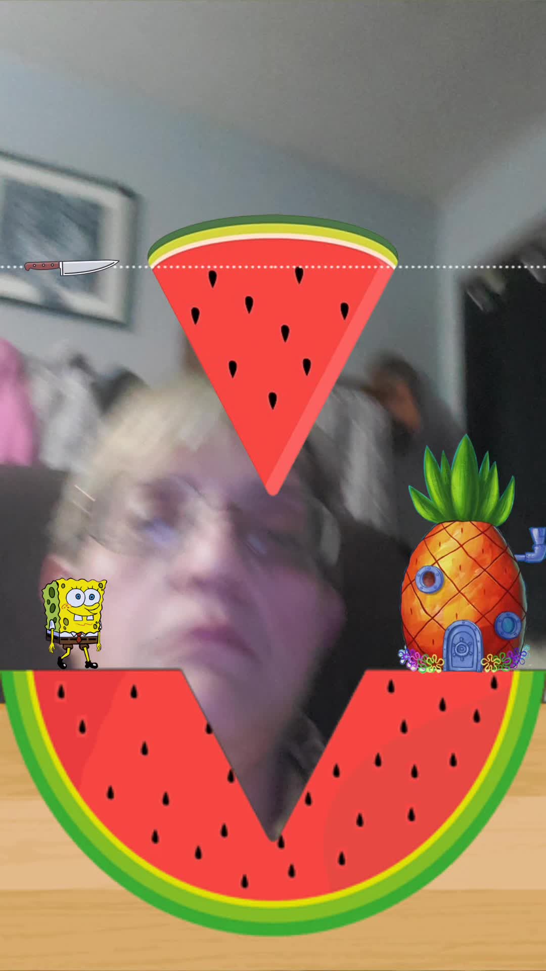 @karenfrech71