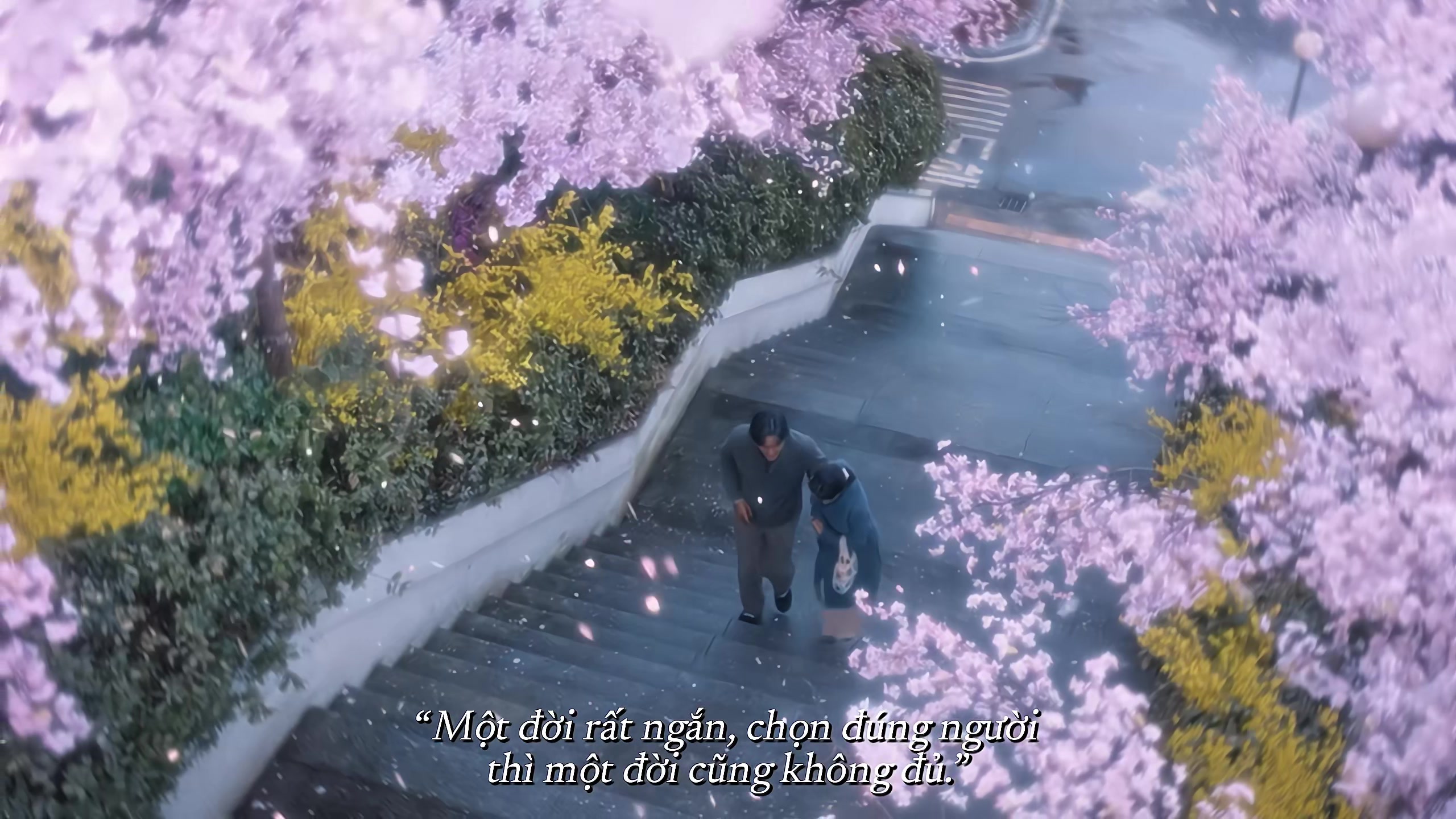 @Không có gì ngoài PHIM