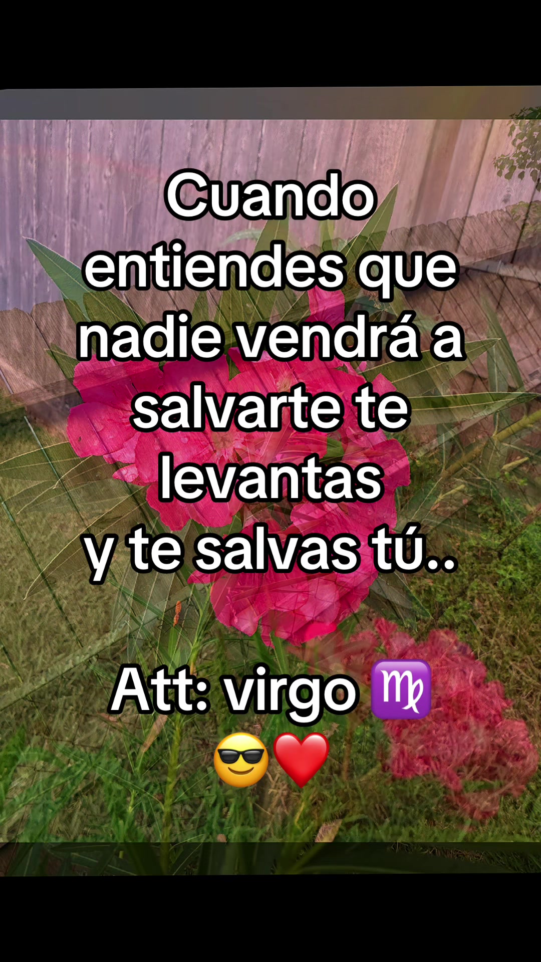 @Lore