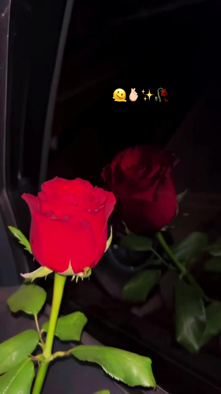 @Zuhal Azizi