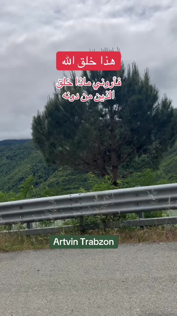 @يوميات العيلة