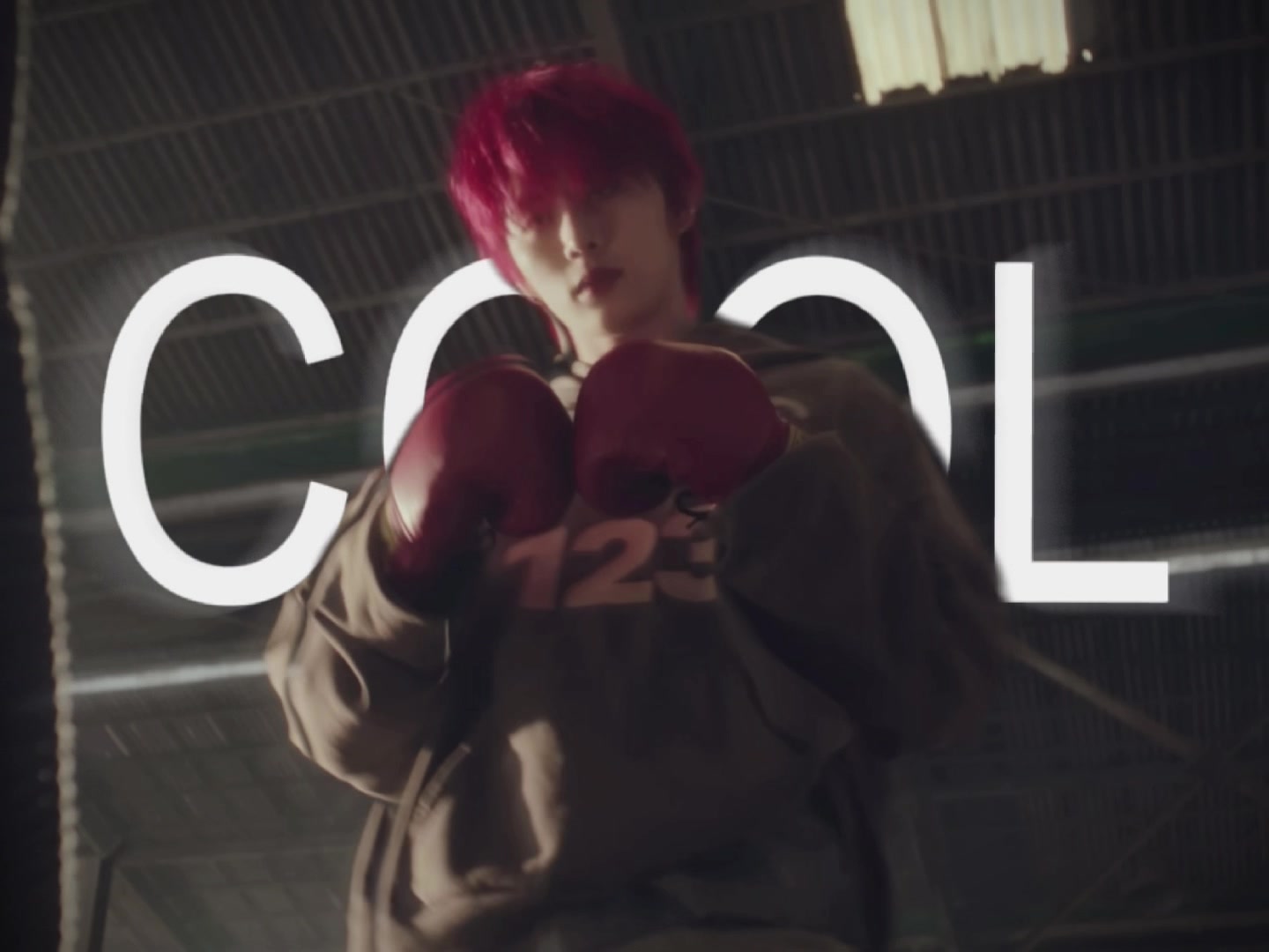 @vivi