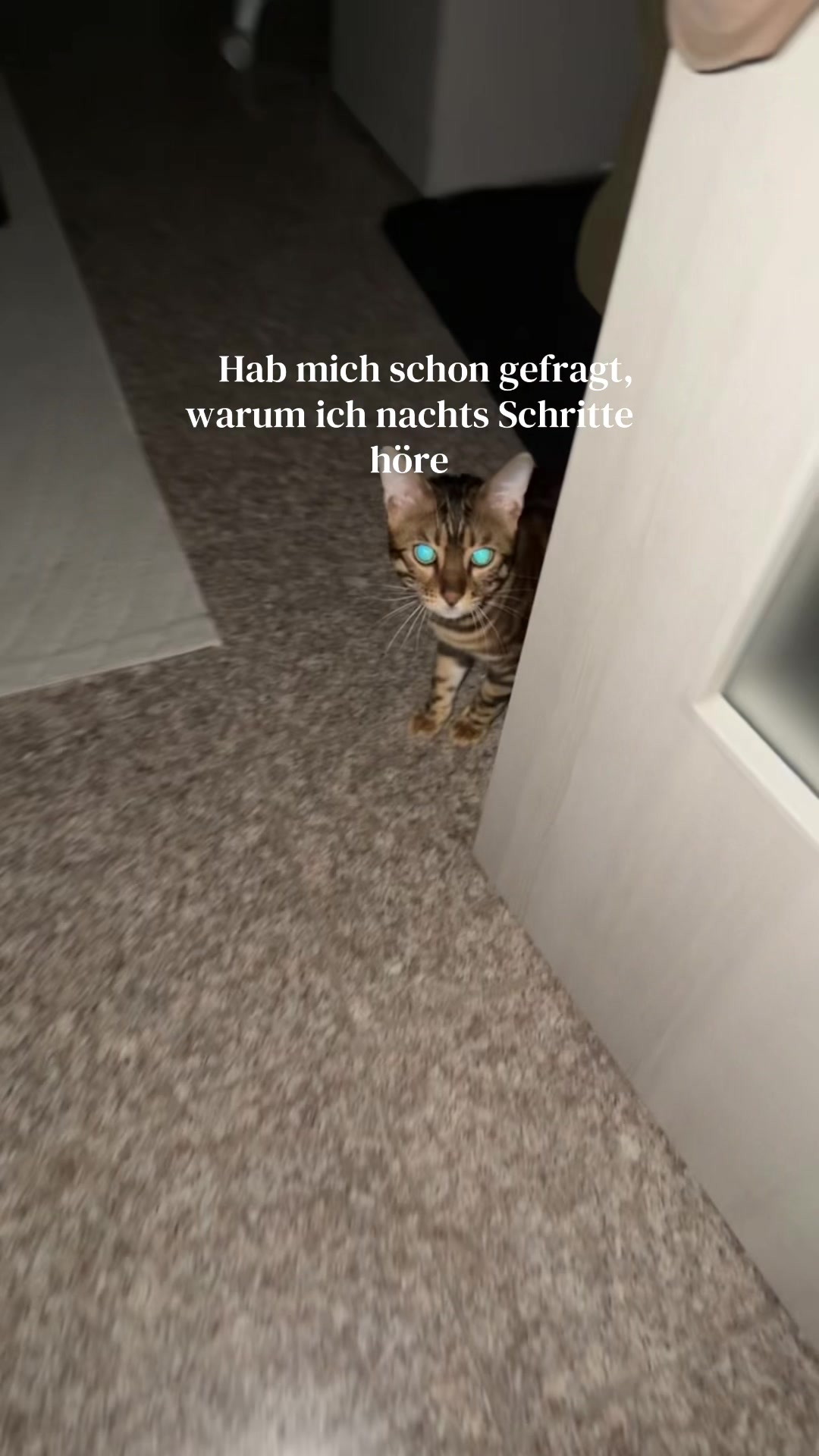 @ALINA 🐆🤎