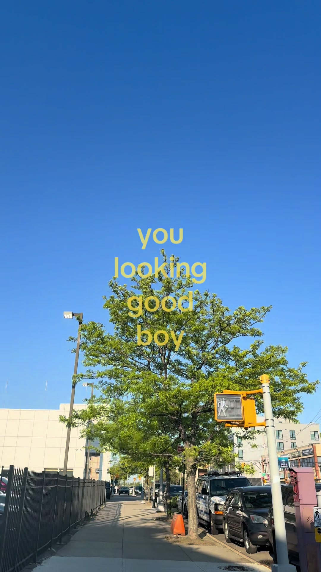 @jihae