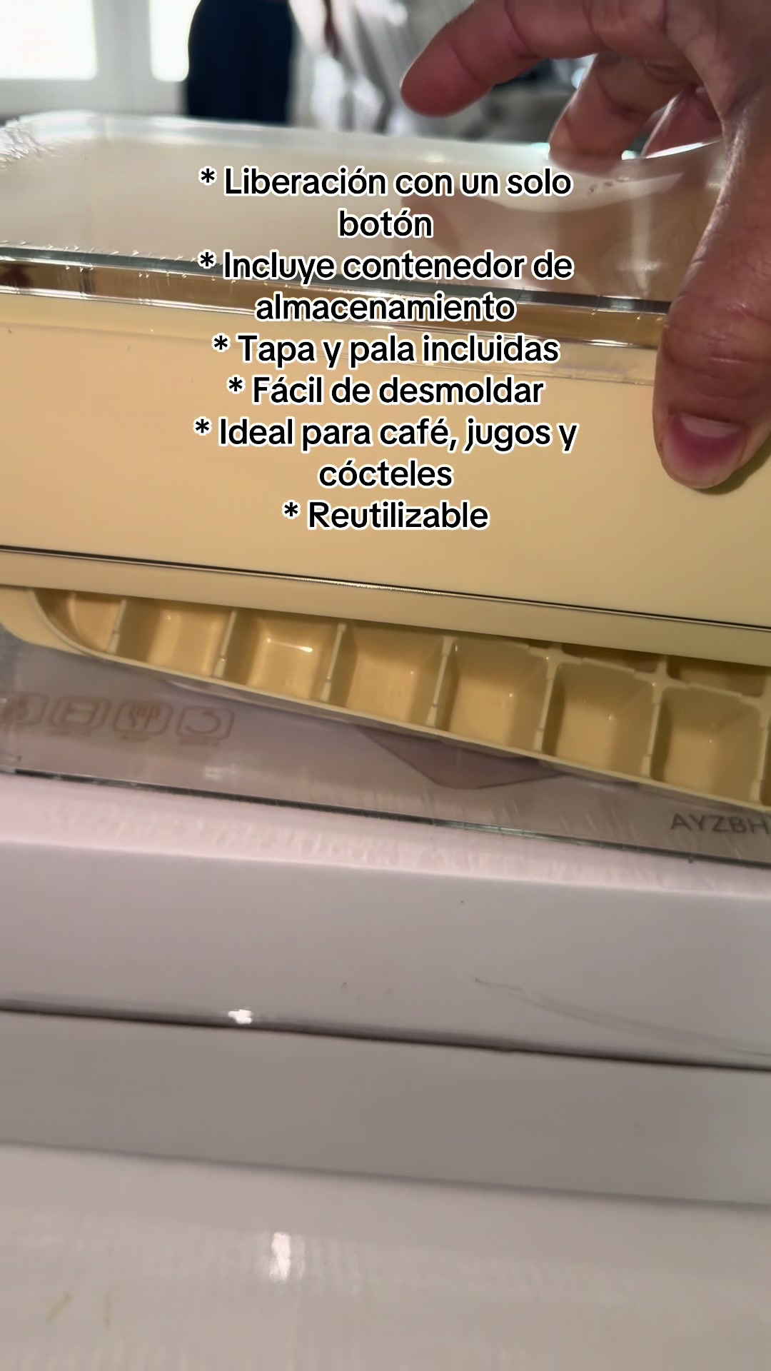 @alivalenciall
