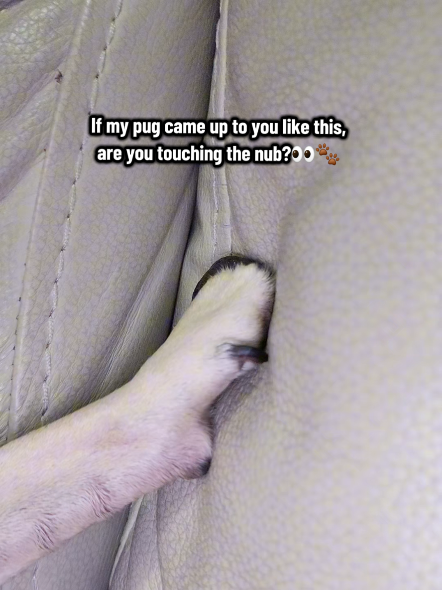 @Lulu