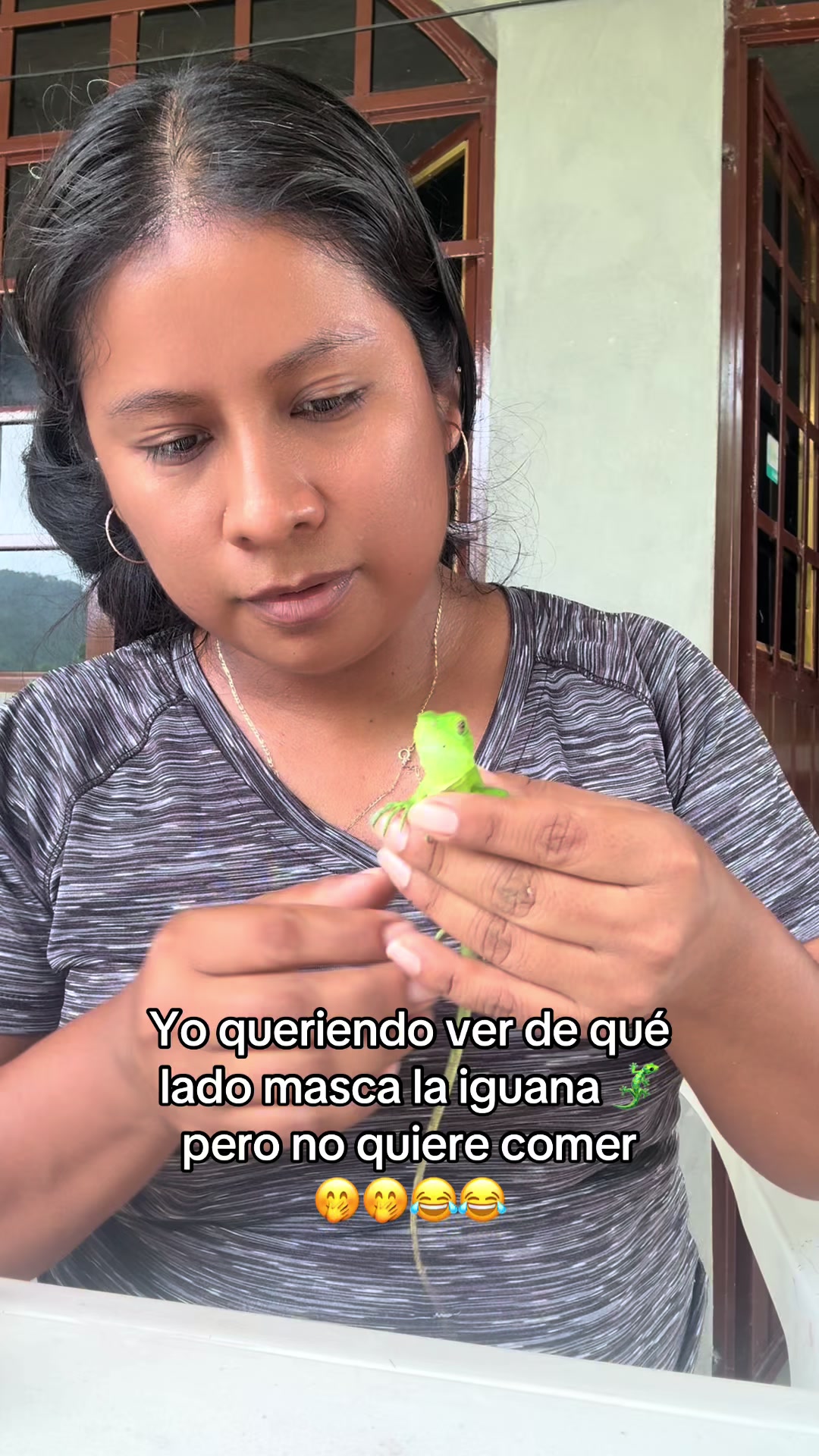 @nazly