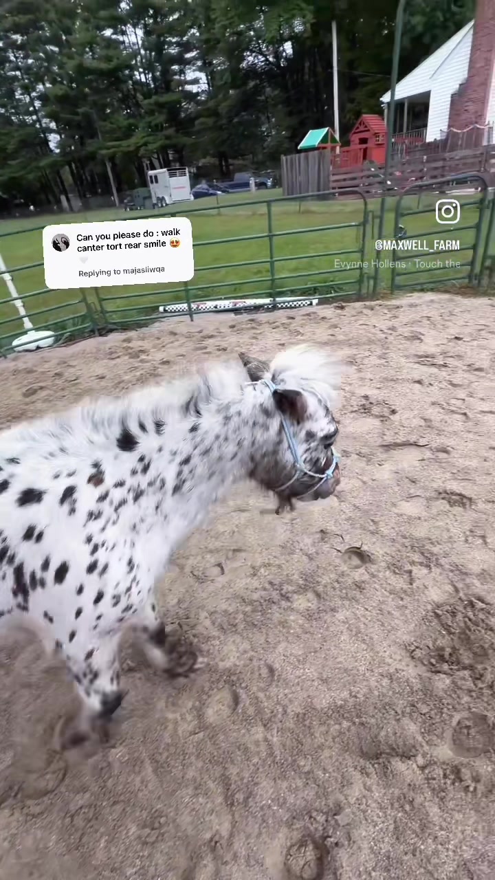 @Maxwell Farms