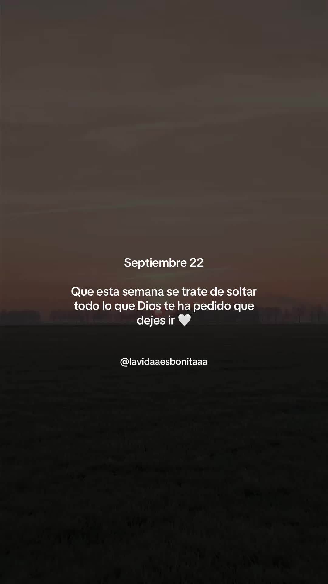 @vidabonita❤️🩹