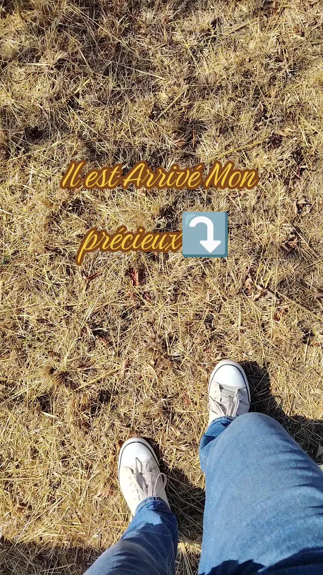 @victimegeek