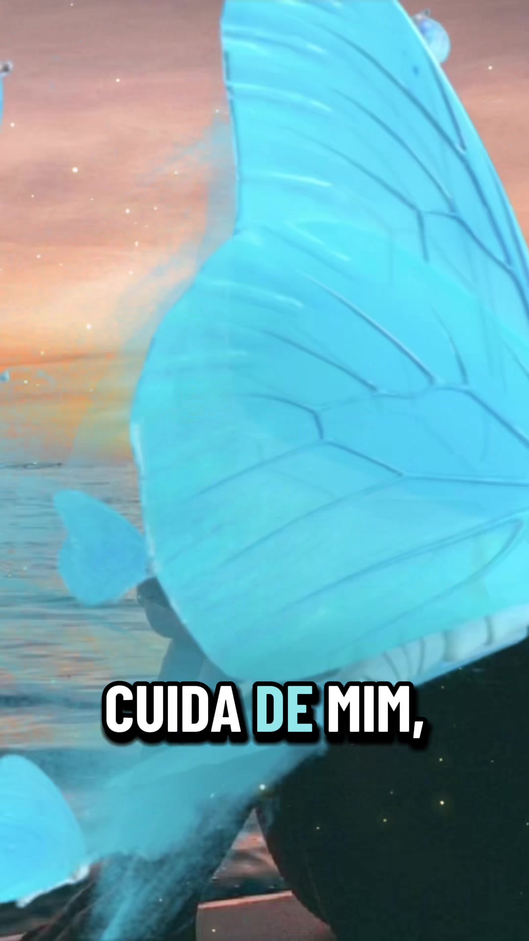 @borboleta2867