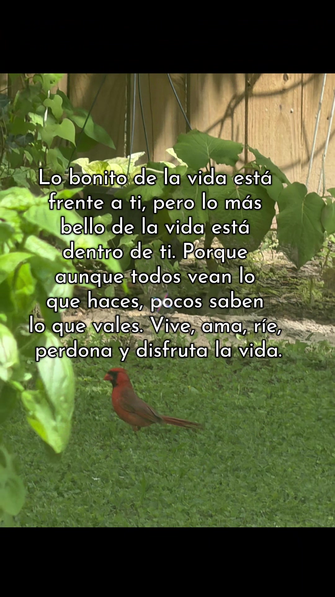@Sabina Hernandez456 saby