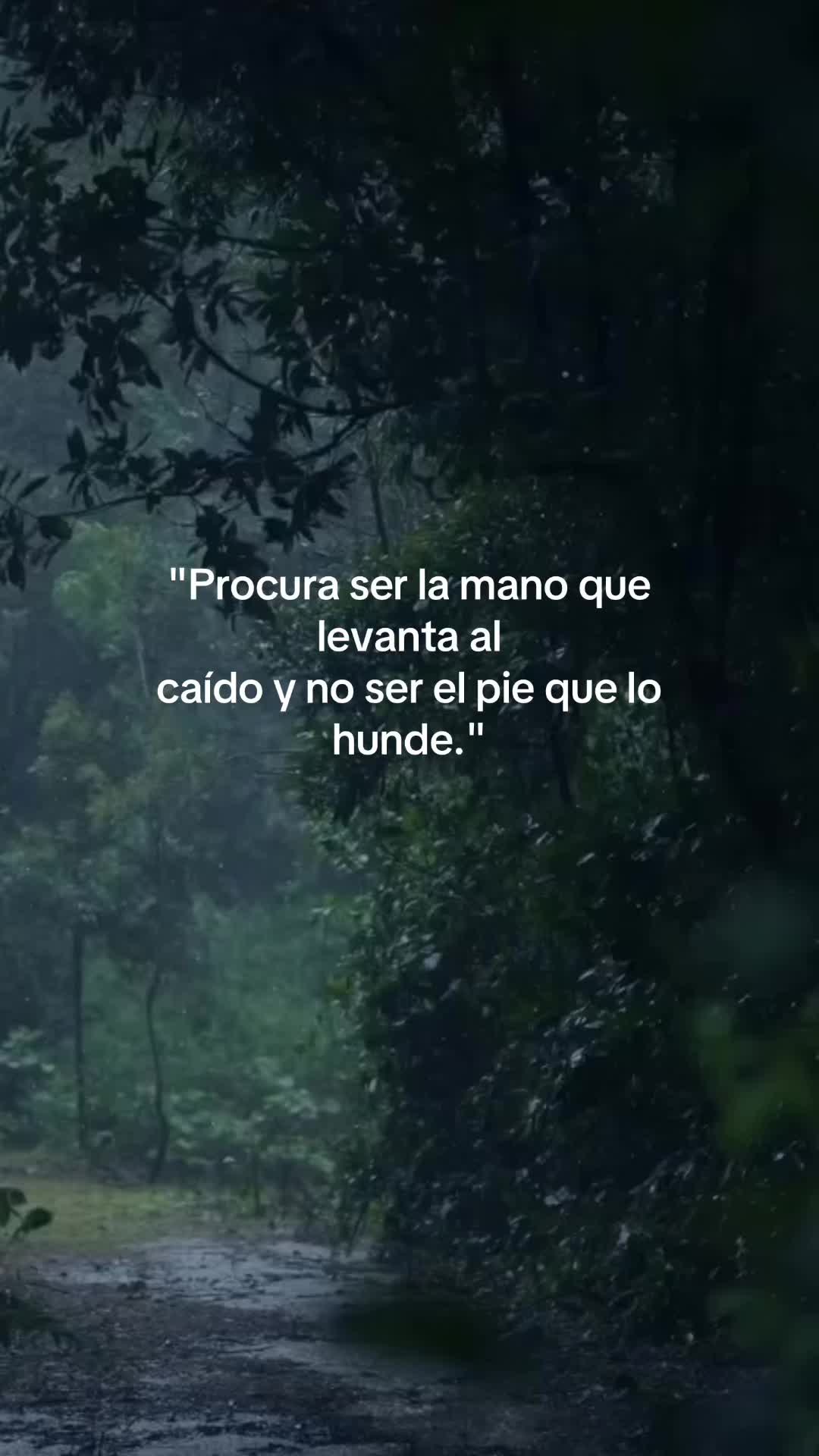 @Liliana Merino