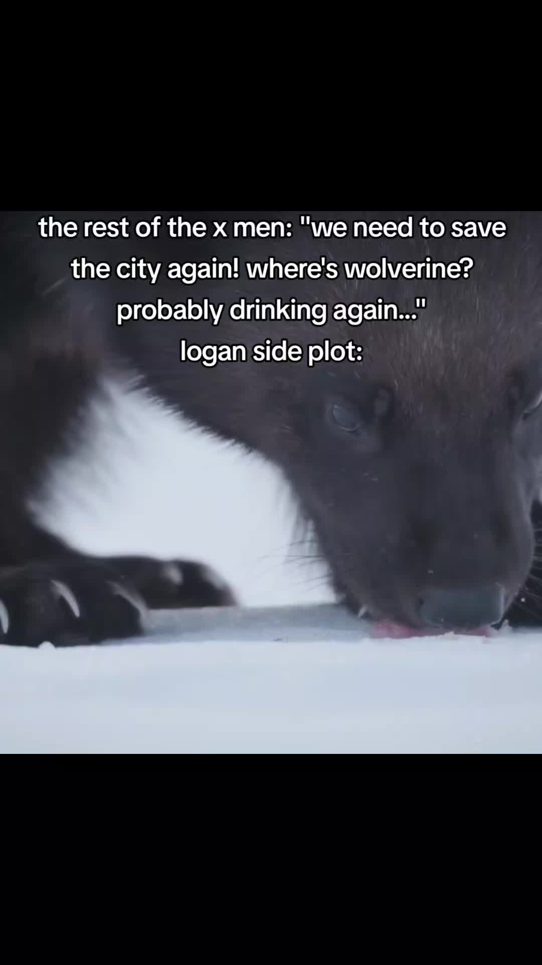 @wolverinepegger43*⊗