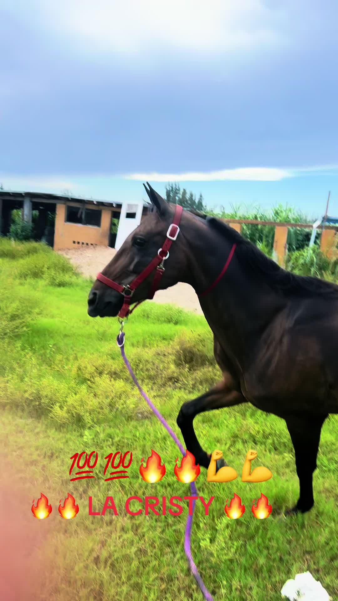 @🔥🔥❤️EL FEO ❤️🔥🔥