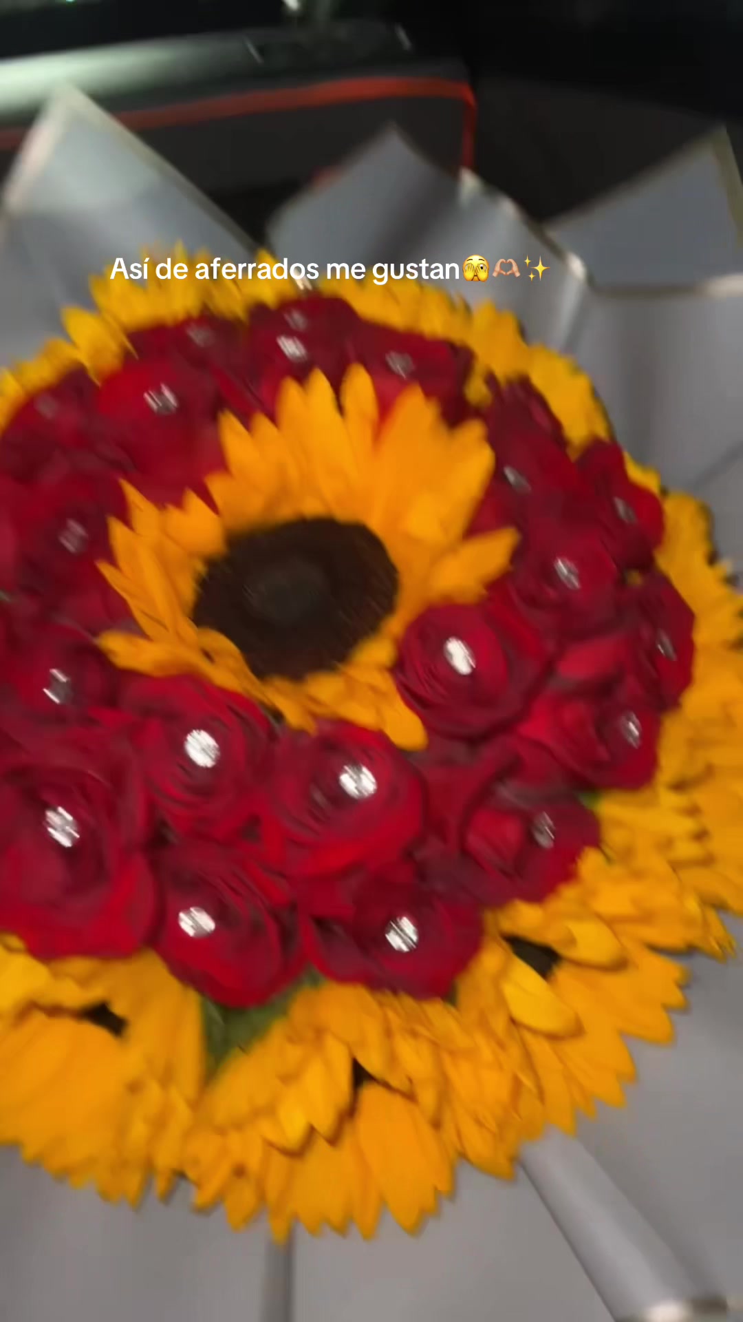 @STEFANYA🌻