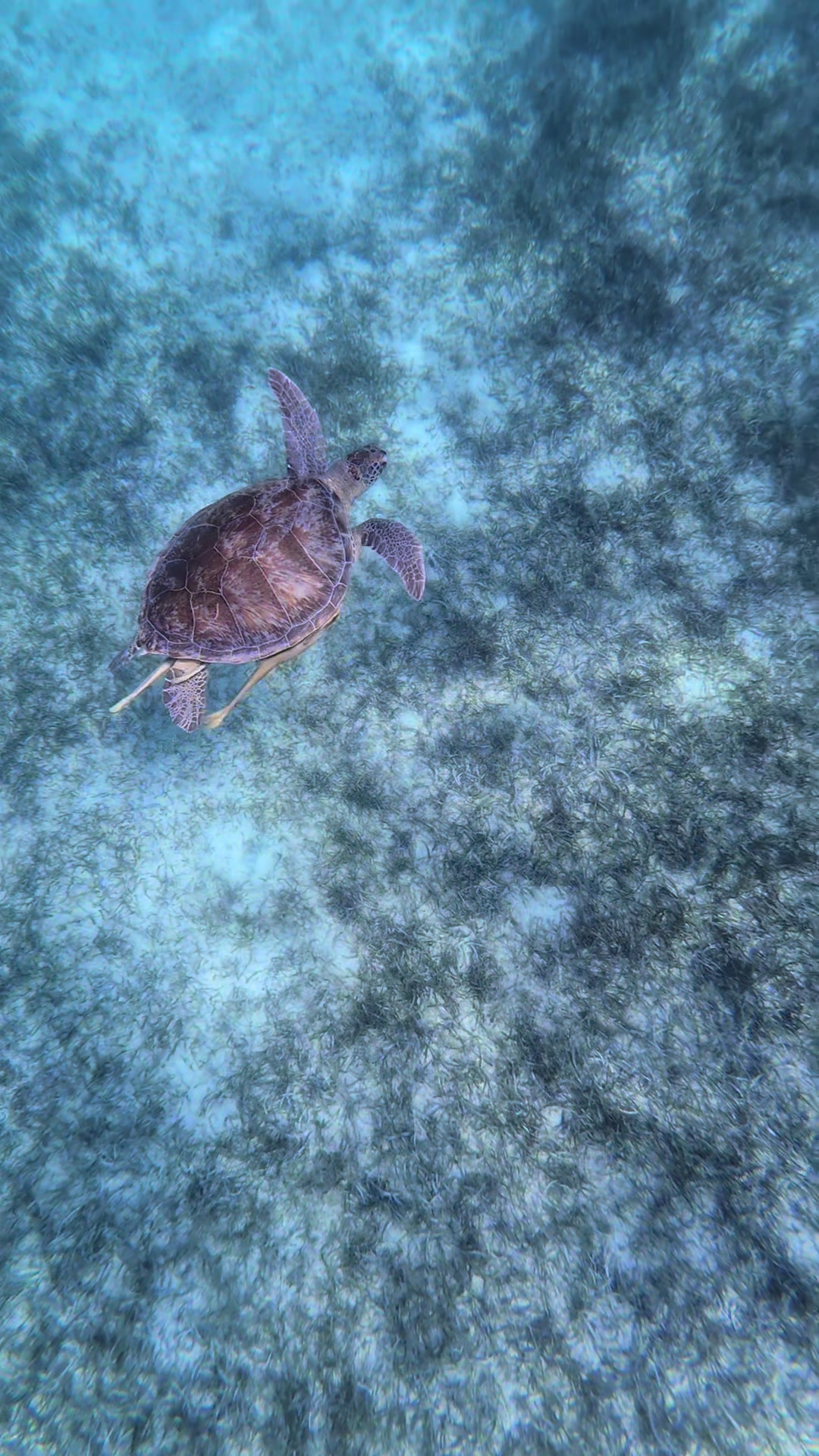 @Gumption&rsquo;s Experience BVI