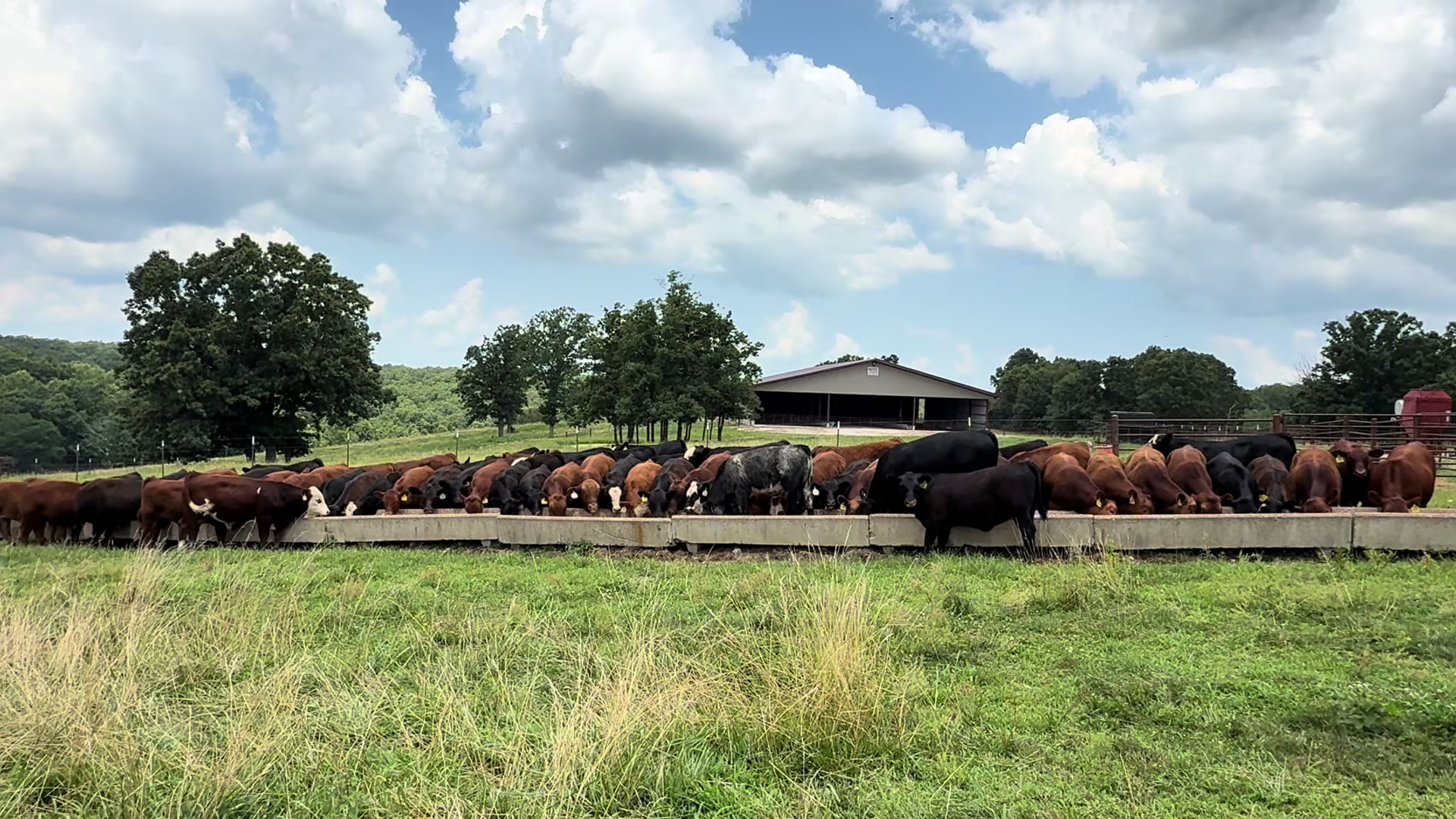 @Massey Land & Cattle