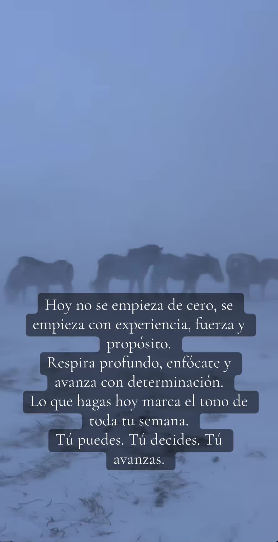 @mayte__18