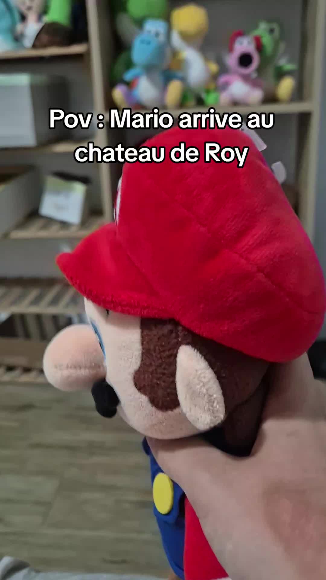 @peluchemario64