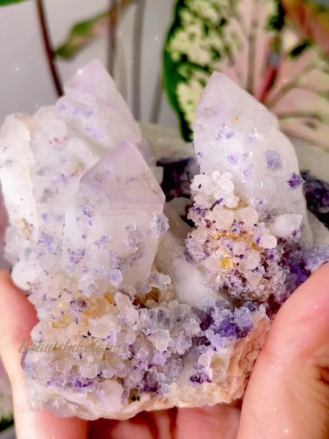 @DaisyGem