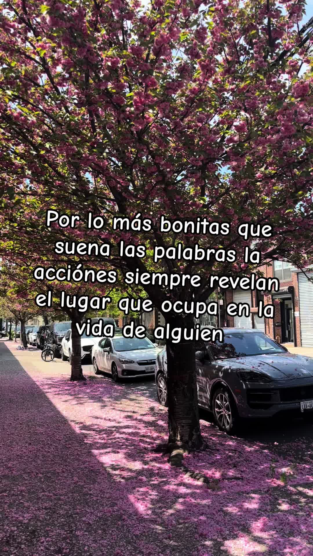@andreacarolinadom5