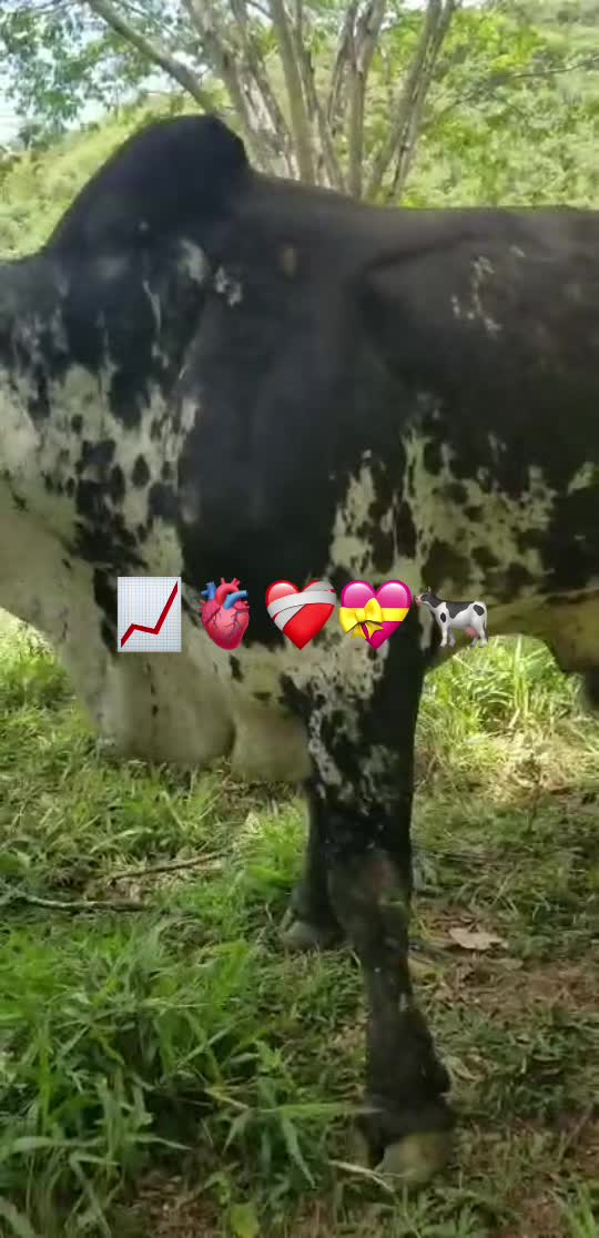 @Gaby herrera