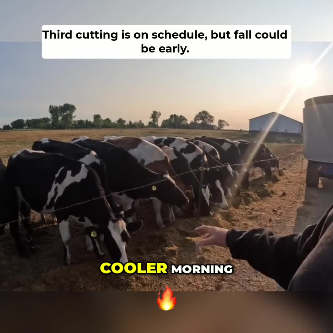 @Kip Siegler Farming