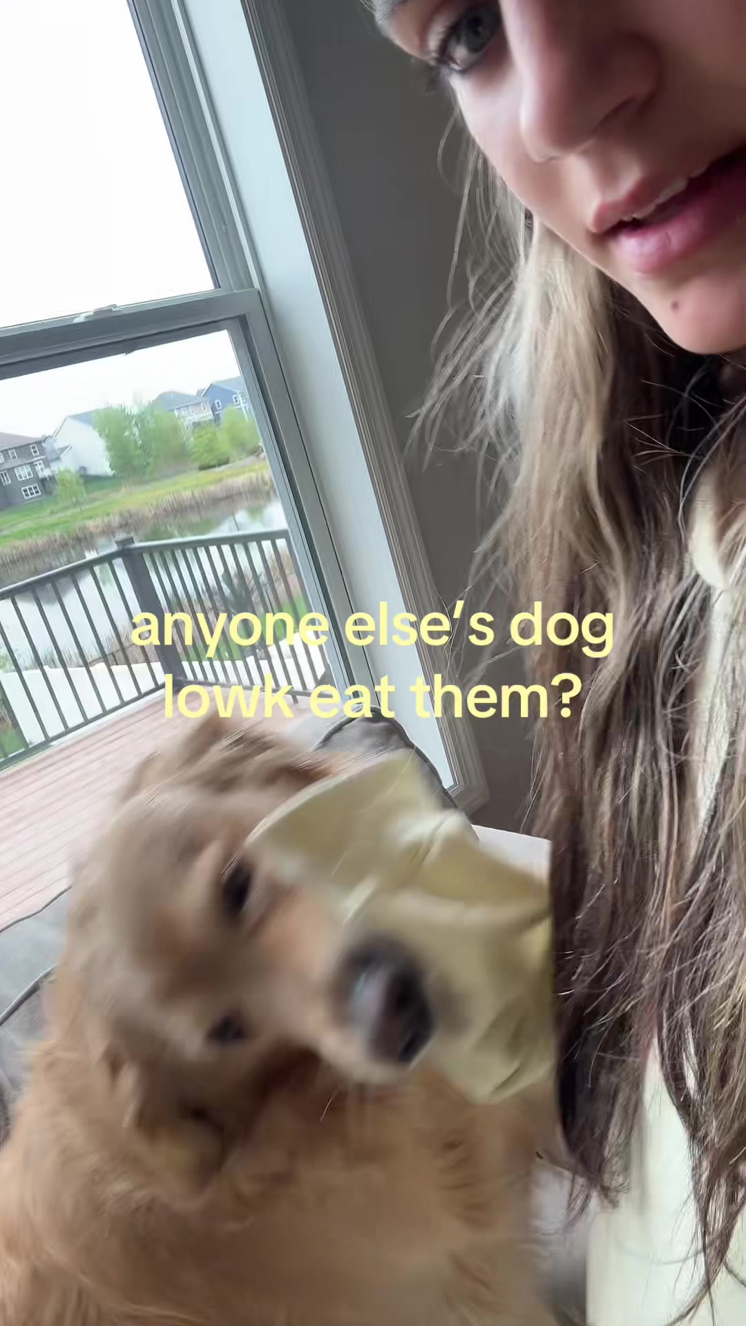 @Gabriella Korndog