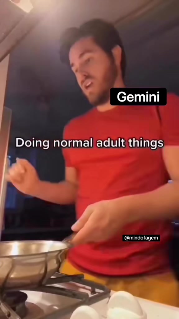 @Mind of a Gemini