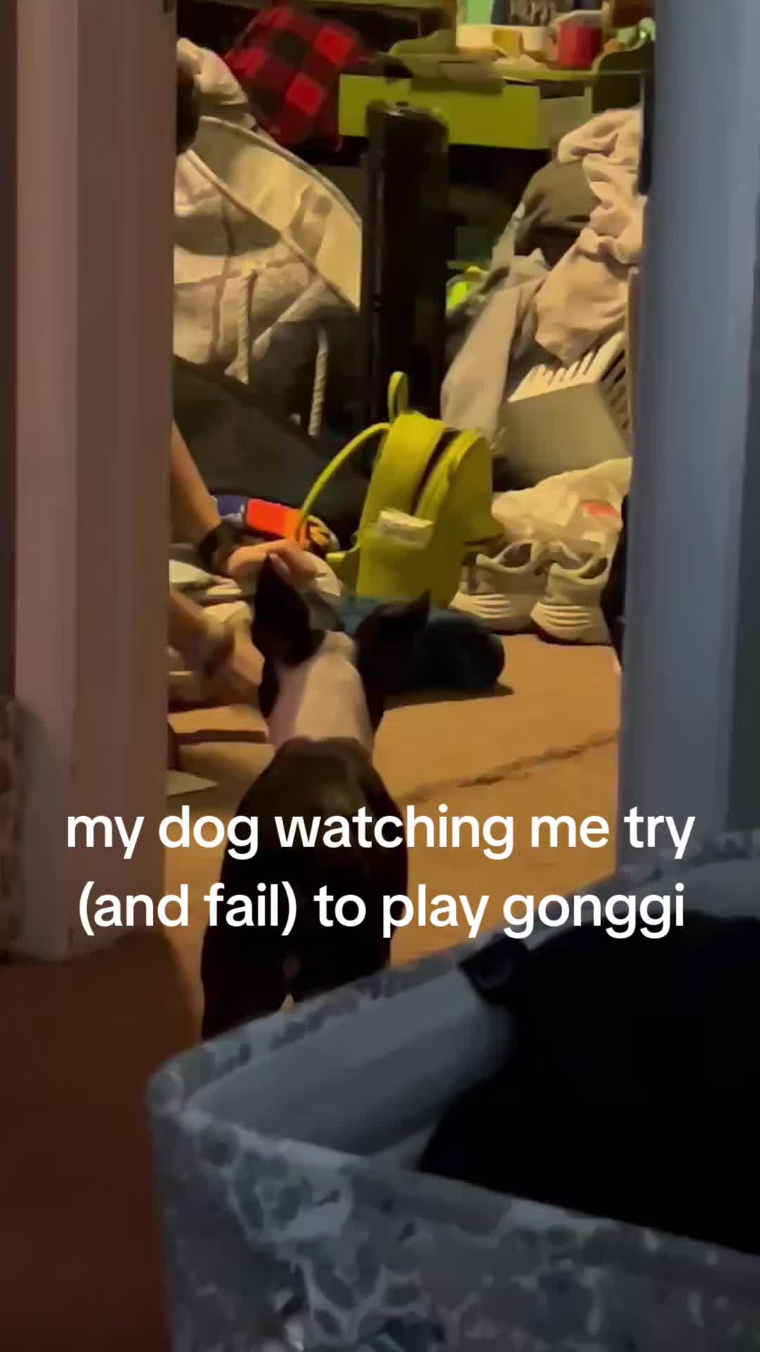 @Sophie loafy