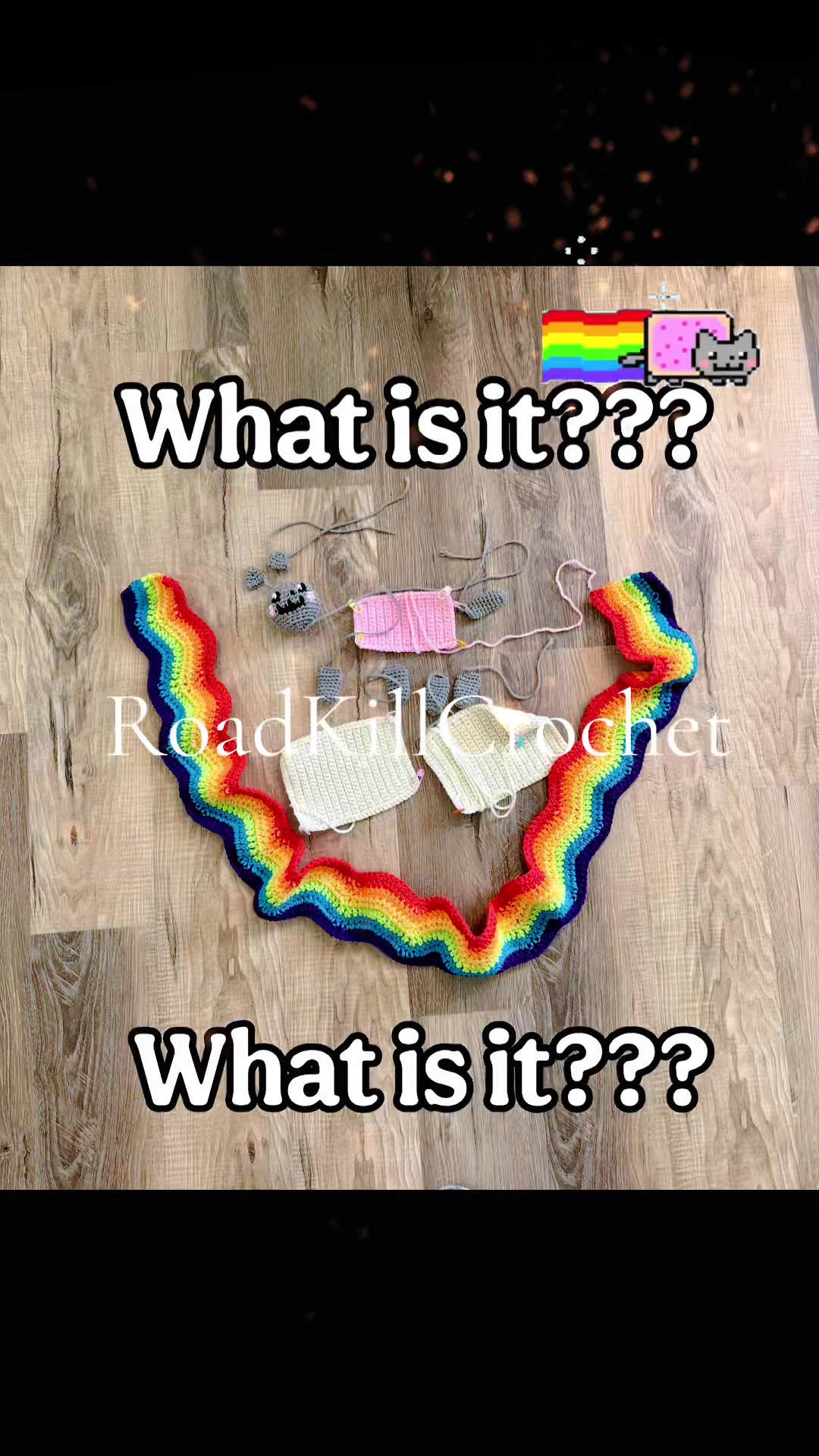 @Road Kill Crochet