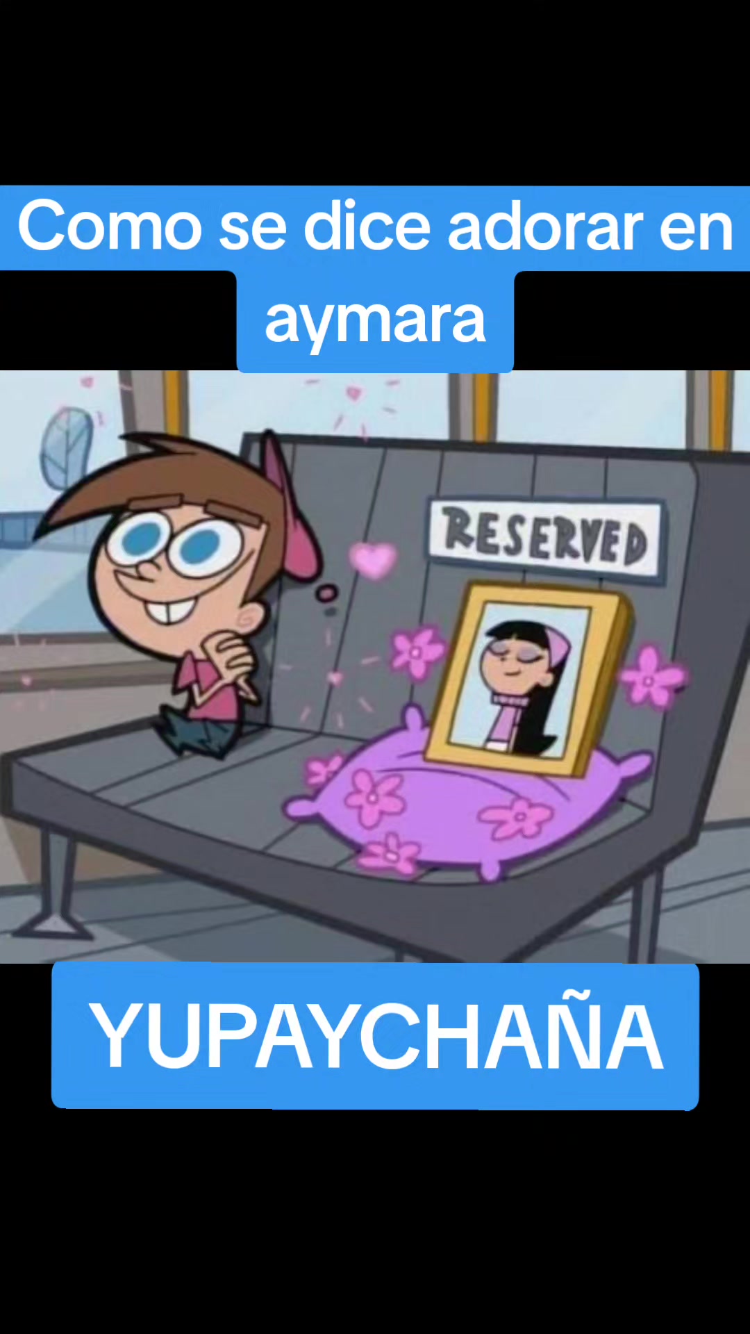 @Rosa Rosa
