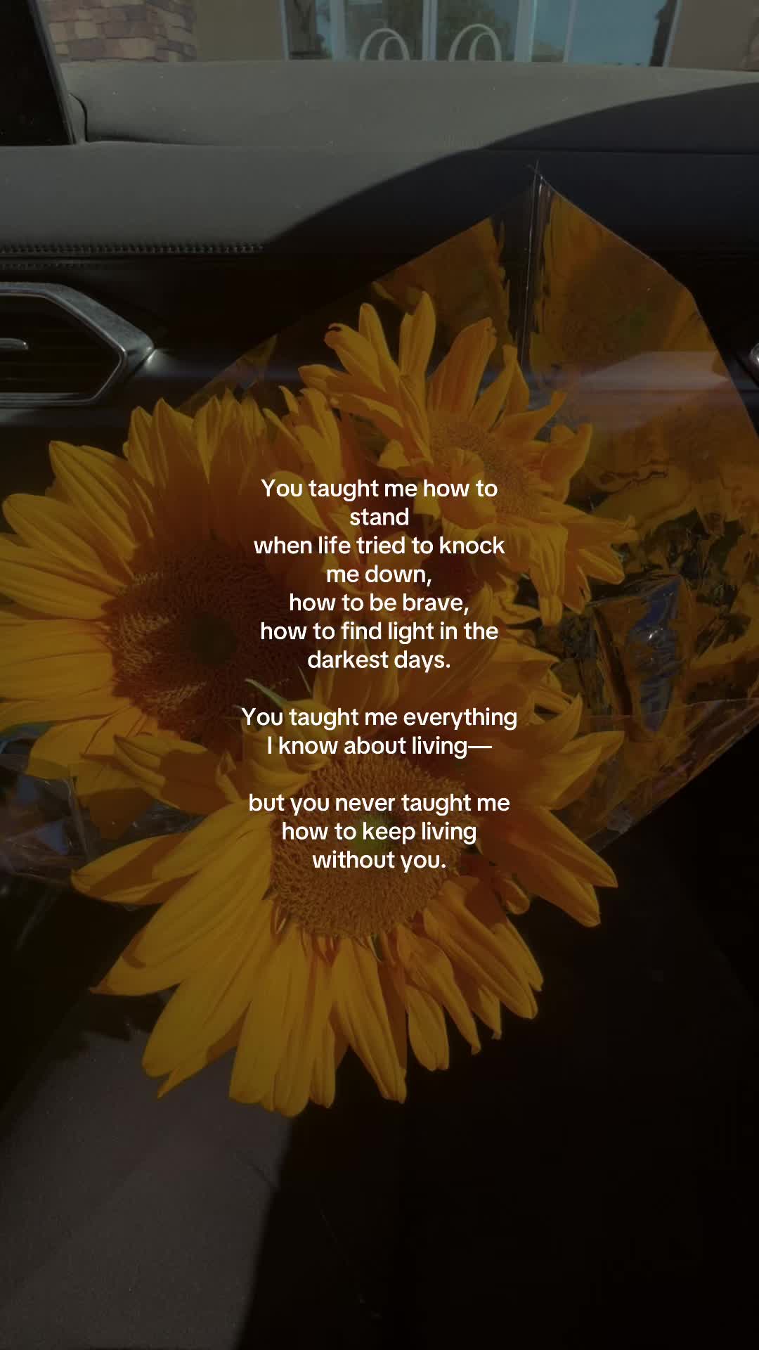 @Sav 🖤