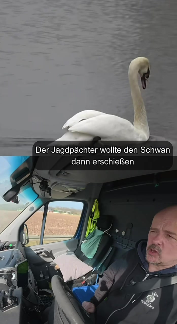 @endlessfishing
