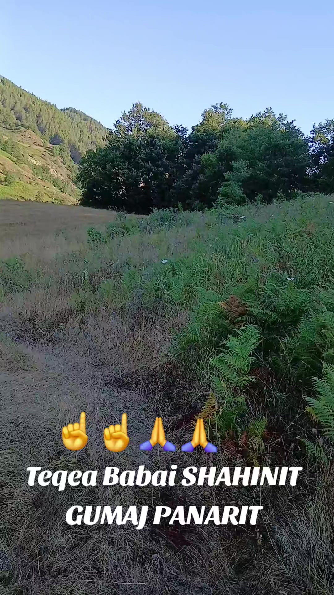 @👑 karrotrec_Berati👑