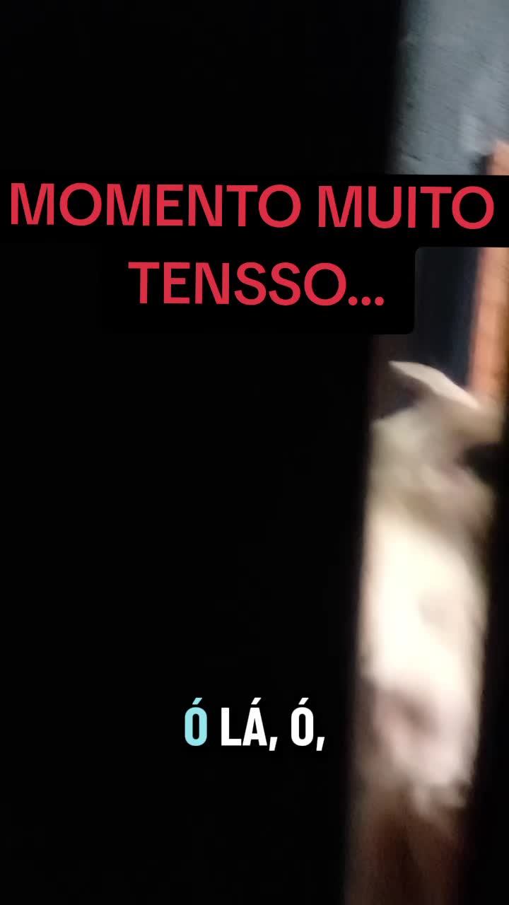 @cachorro de pobre