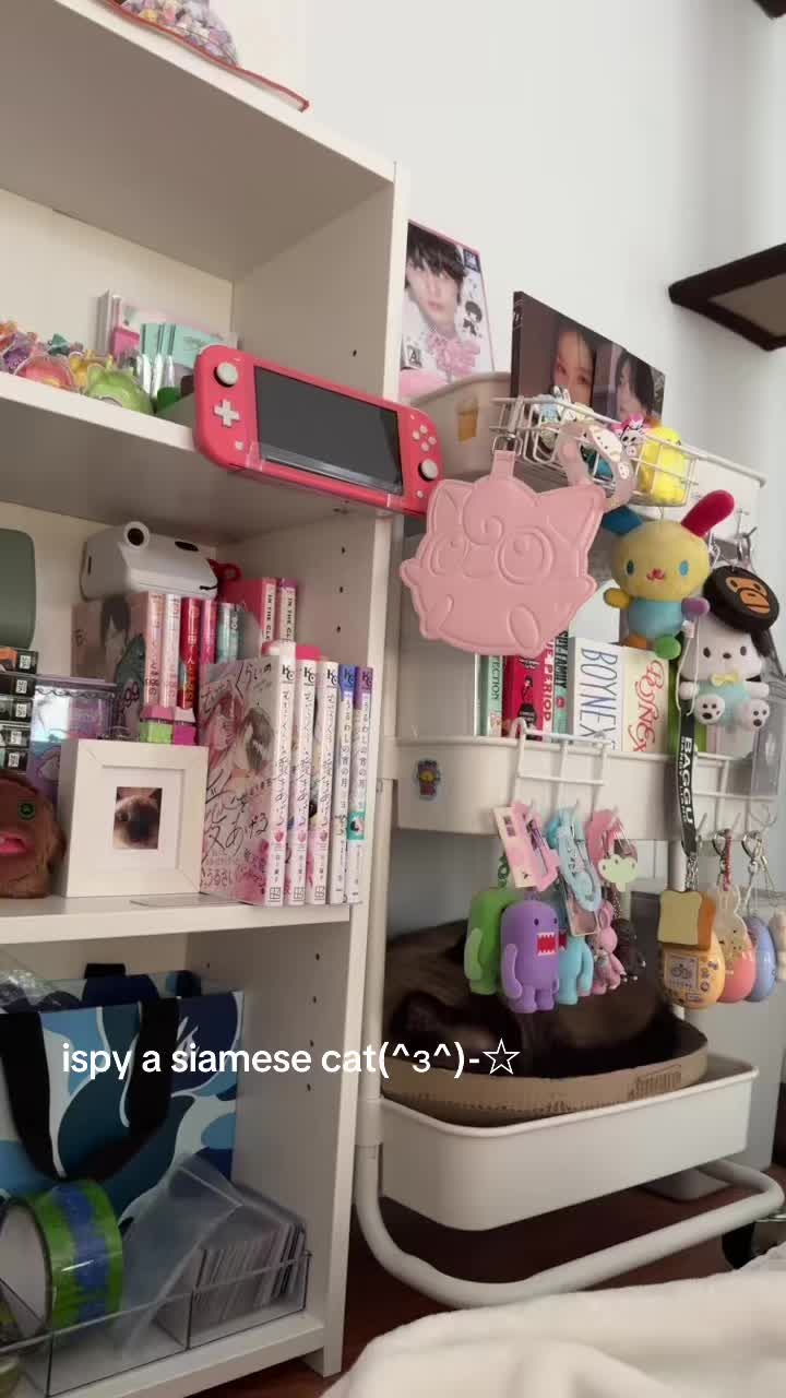 @lindy ☆彡(๑˃̵ᴗ˂̵) 彡☆