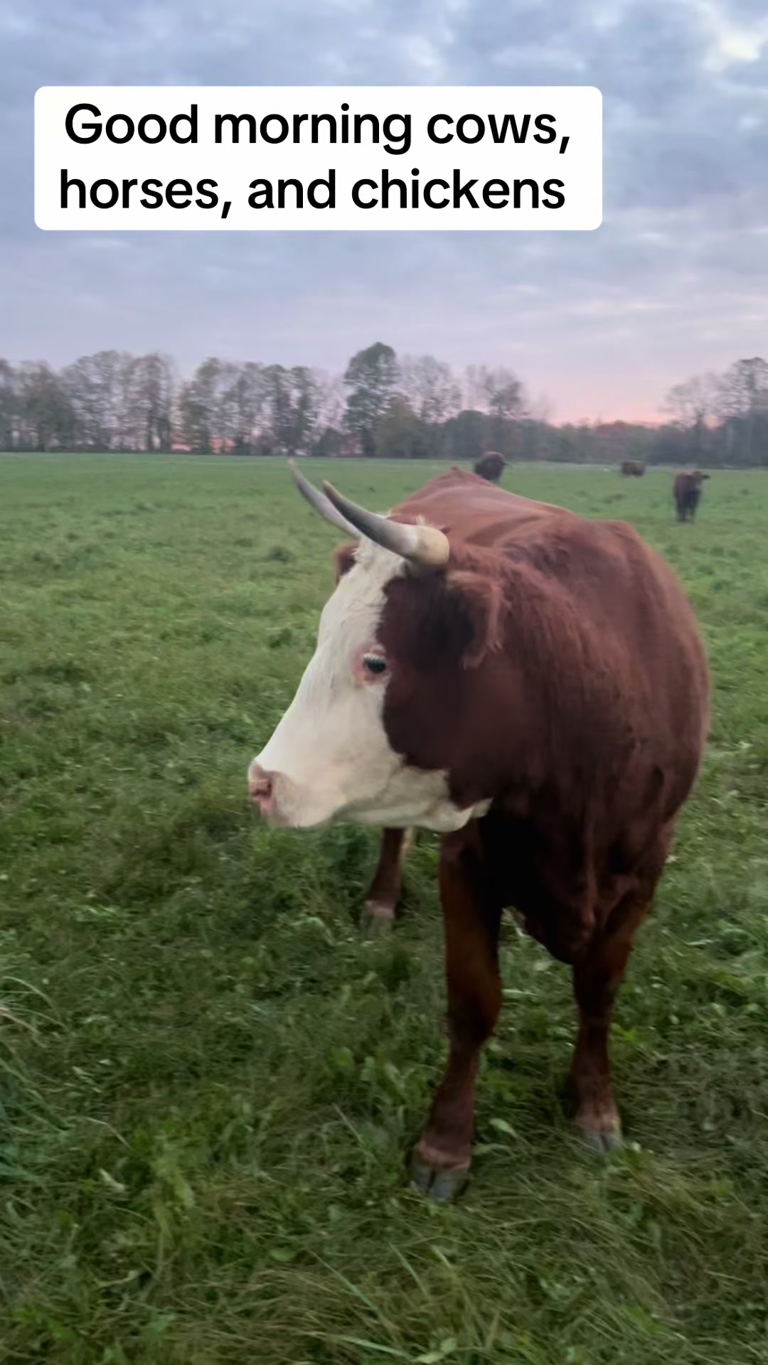@littlesandycreekfarm