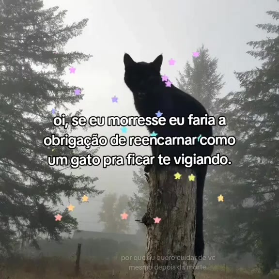 @🍓𖦹~ 𝐒ɑׁׅᨰׁׅɑׁׅƙׁׅᨵׁׅׅ .ᐟ