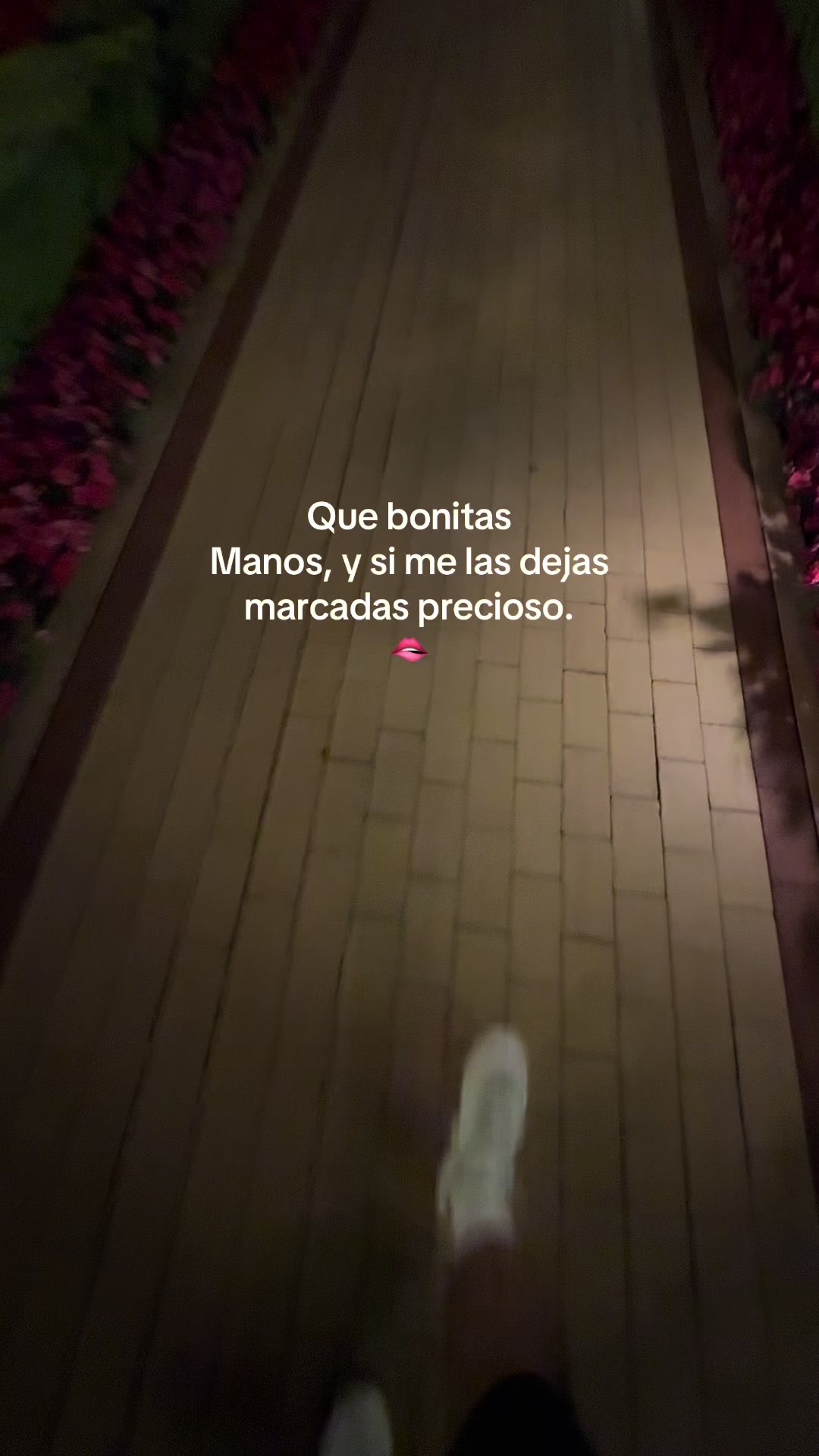 @luissandoval0130